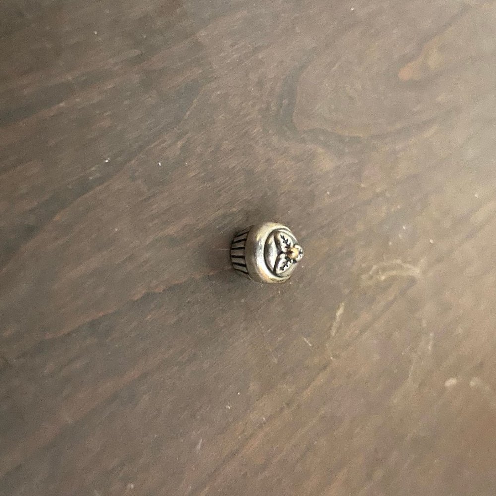 Pandora Charms - Picture 8 of 8